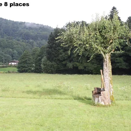 Typiques Au Coeur Des Hautes Vosges Saulxures-sur-Moselotte